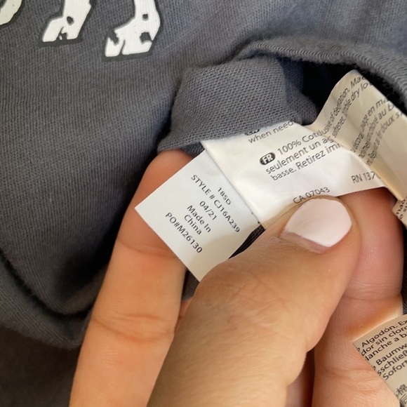 Wildfox Roommate of the Year My Dog Keke Tee NEW - Picture 7 of 10